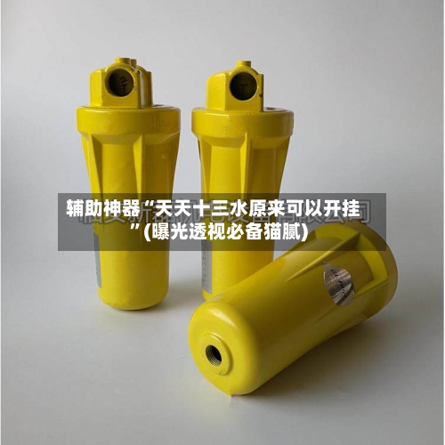 辅助神器“天天十三水原来可以开挂	”(曝光透视必备猫腻)-第2张图片