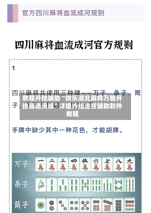 教程开挂辅助“微乐湖北麻将万能开挂器通用版”详细外挂透视辅助软件教程-第3张图片