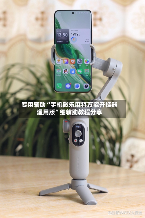 专用辅助“手机微乐麻将万能开挂器通用版”细辅助教程分享-第3张图片