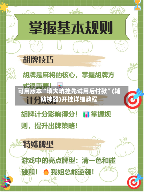 可用版本“填大坑挂先试用后付款”(辅助神器)开挂详细教程-第3张图片