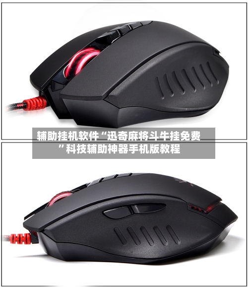 辅助挂机软件“迅奇麻将斗牛挂免费”科技辅助神器手机版教程
