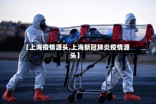 【上海疫情源头,上海新冠肺炎疫情源头】-第2张图片