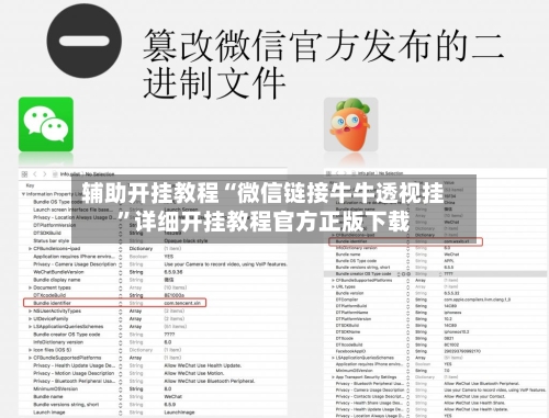 辅助开挂教程“微信链接牛牛透视挂”详细开挂教程官方正版下载-第2张图片