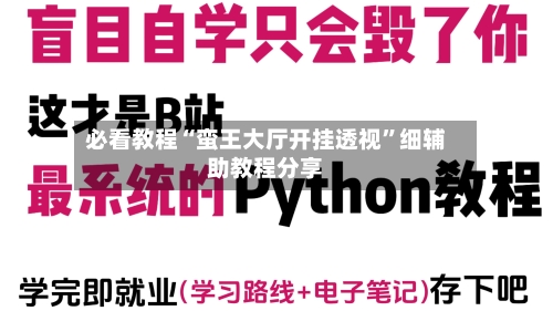 必看教程“蛮王大厅开挂透视”细辅助教程分享-第3张图片
