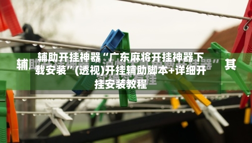 辅助开挂神器“广东麻将开挂神器下载安装”(透视)开挂辅助脚本+详细开挂安装教程-第3张图片