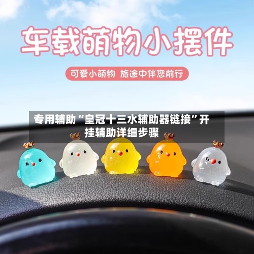专用辅助“皇冠十三水辅助器链接”开挂辅助详细步骤-第3张图片