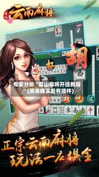 专家分析“蜀山麻将开挂教程	”(原来确实是有插件)-第2张图片