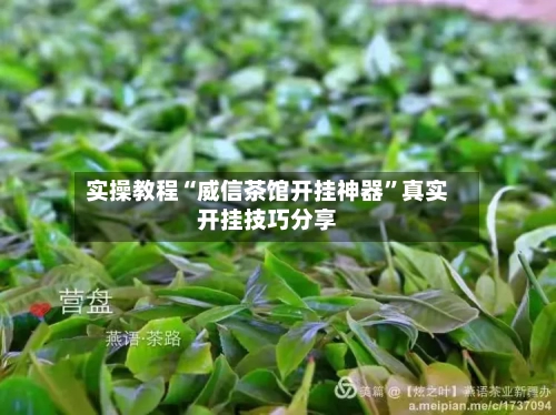 实操教程“威信茶馆开挂神器”真实开挂技巧分享-第3张图片