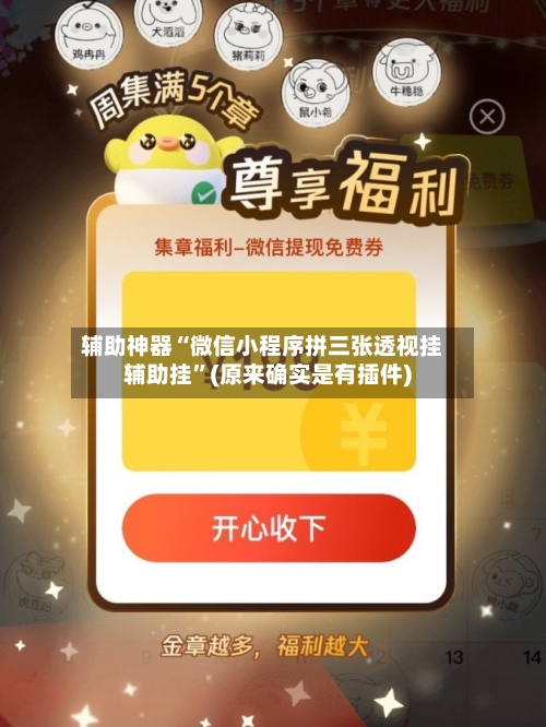 辅助神器“微信小程序拼三张透视挂辅助挂”(原来确实是有插件)-第3张图片