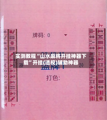 实测教程“山水麻将开挂神器下载”开挂(透视)辅助神器-第3张图片