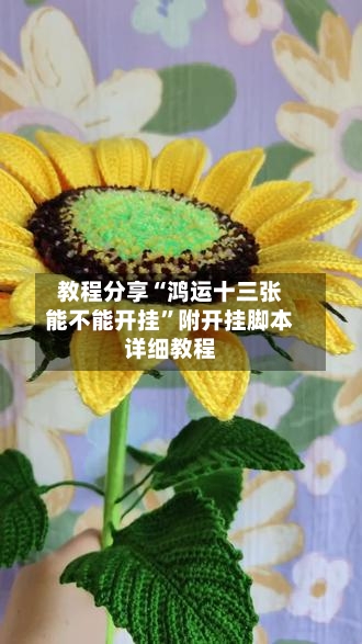 教程分享“鸿运十三张能不能开挂”附开挂脚本详细教程-第2张图片