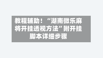 教程辅助！“湖南微乐麻将开挂透视方法”附开挂脚本详细步骤-第3张图片