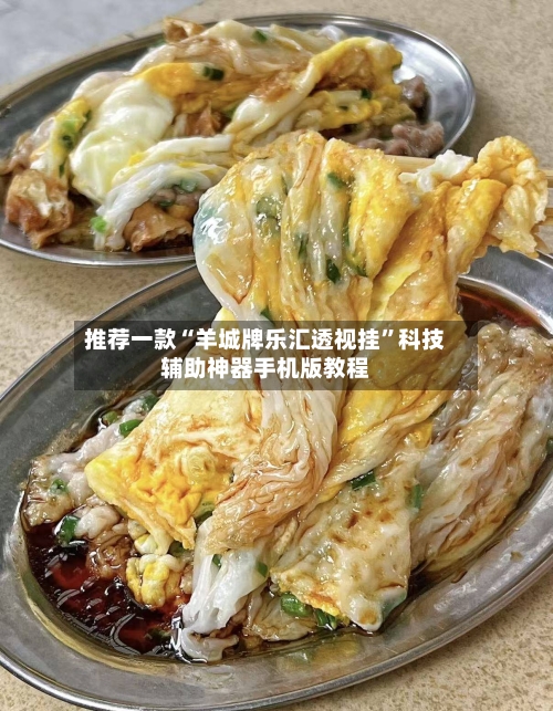 推荐一款“羊城牌乐汇透视挂”科技辅助神器手机版教程-第3张图片