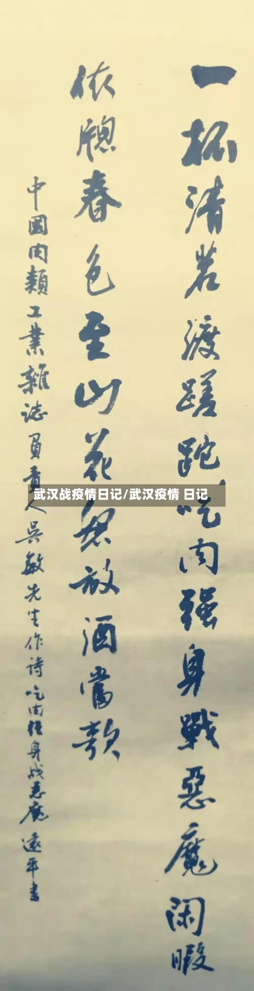 武汉战疫情日记/武汉疫情 日记