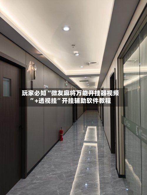 玩家必知“微友麻将万能开挂器视频”+透视挂	”开挂辅助软件教程-第2张图片