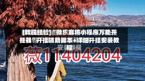 [教程经验]“微乐麻将小程序万能开挂器”开挂辅助脚本+详细开挂安装教程-第2张图片