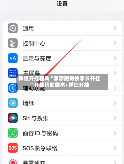 教程开挂辅助“派派跑得快怎么开挂”开挂辅助脚本+详细开挂-第2张图片
