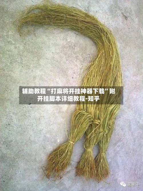 辅助教程“打麻将开挂神器下载	”附开挂脚本详细教程-知乎-第2张图片