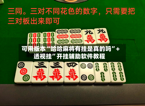 可用版本“哈哈麻将有挂是真的吗”+透视挂	”开挂辅助软件教程-第2张图片