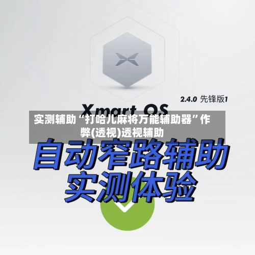 实测辅助“打哈儿麻将万能辅助器”作弊(透视)透视辅助-第2张图片