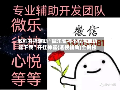 教程开挂辅助“微乐雀神小程序辅助器下载	”开挂神器{透视辅助}全揭秘-第2张图片