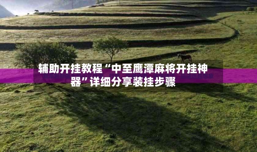 辅助开挂教程“中至鹰潭麻将开挂神器”详细分享装挂步骤-第3张图片