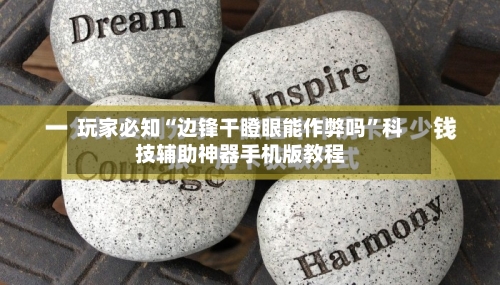 玩家必知“边锋干瞪眼能作弊吗”科技辅助神器手机版教程-第2张图片