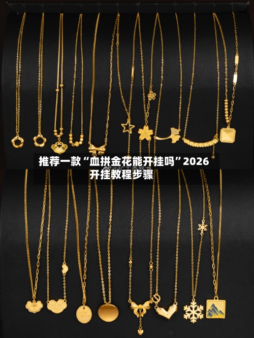 推荐一款“血拼金花能开挂吗”2026开挂教程步骤-第2张图片