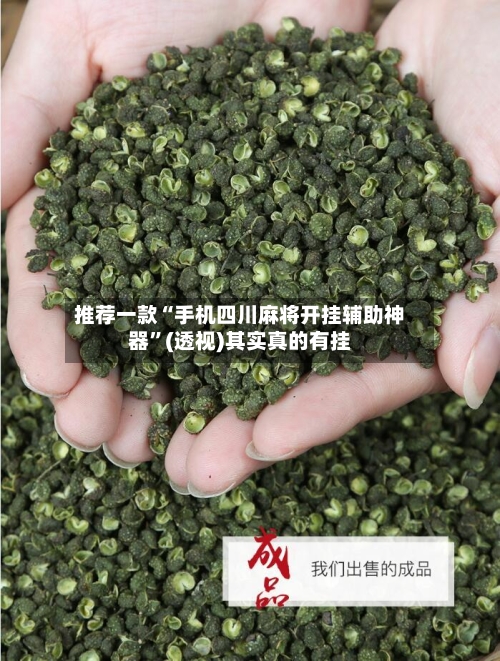 推荐一款“手机四川麻将开挂辅助神器”(透视)其实真的有挂