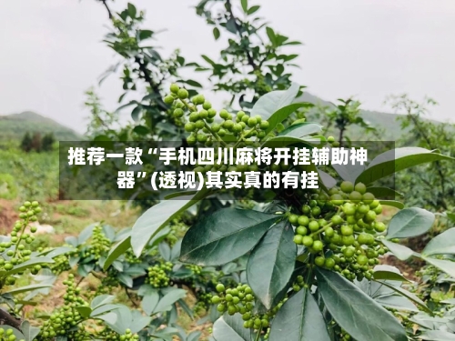 推荐一款“手机四川麻将开挂辅助神器”(透视)其实真的有挂-第3张图片