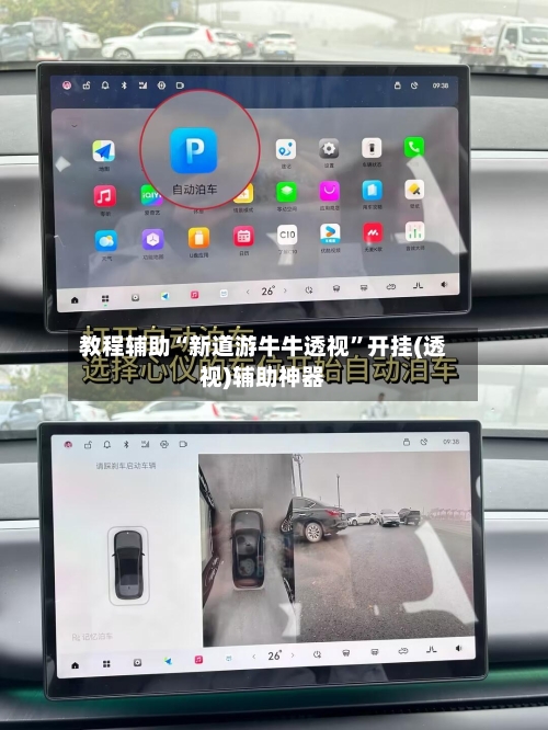 教程辅助“新道游牛牛透视”开挂(透视)辅助神器-第2张图片