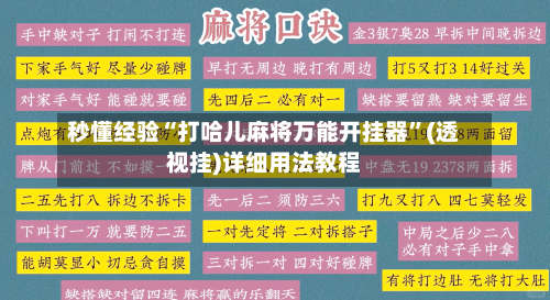 秒懂经验“打哈儿麻将万能开挂器”(透视挂)详细用法教程-第3张图片