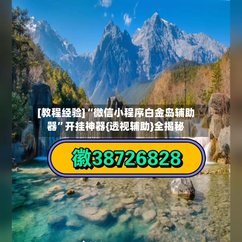 [教程经验]“微信小程序白金岛辅助器”开挂神器{透视辅助}全揭秘-第3张图片