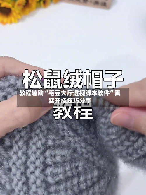 教程辅助“毛豆大厅透视脚本软件”真实开挂技巧分享-第2张图片