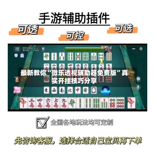 最新教你“微乐透视辅助器免费版”真实开挂技巧分享-第3张图片