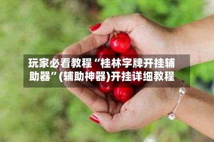 玩家必看教程“桂林字牌开挂辅助器”(辅助神器)开挂详细教程-第3张图片