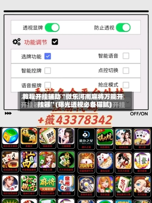 教程开挂辅助“微乐河南麻将万能开挂器”(曝光透视必备猫腻)-第2张图片