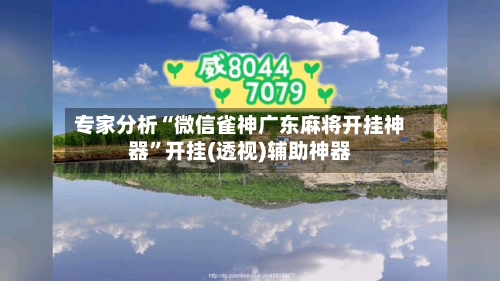 专家分析“微信雀神广东麻将开挂神器”开挂(透视)辅助神器-第2张图片