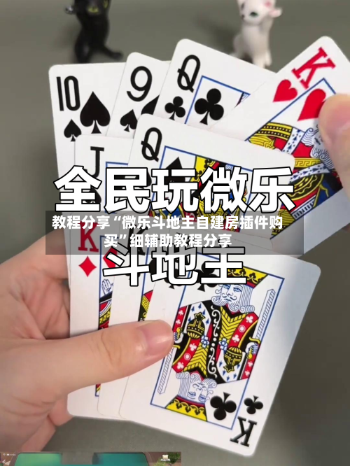 教程分享“微乐斗地主自建房插件购买	”细辅助教程分享-第2张图片
