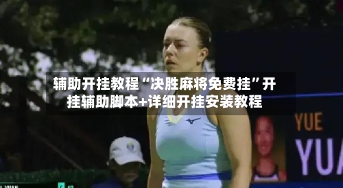 辅助开挂教程“决胜麻将免费挂	”开挂辅助脚本+详细开挂安装教程-第3张图片