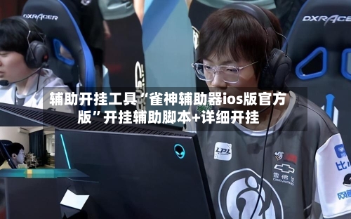 辅助开挂工具“雀神辅助器ios版官方版”开挂辅助脚本+详细开挂-第3张图片