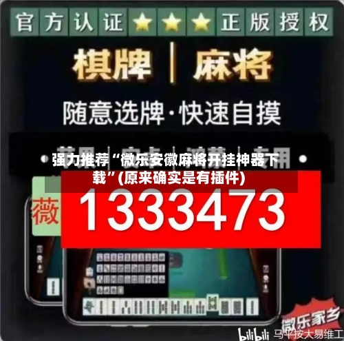 强力推荐“微乐安徽麻将开挂神器下载	”(原来确实是有插件)-第2张图片