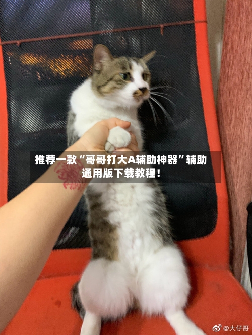 推荐一款“哥哥打大A辅助神器”辅助通用版下载教程！-第3张图片