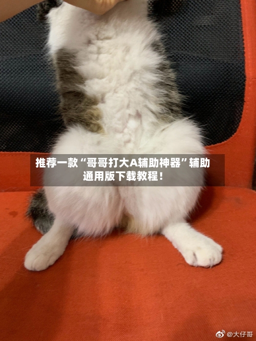 推荐一款“哥哥打大A辅助神器	”辅助通用版下载教程！-第2张图片