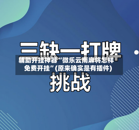 辅助开挂神器“微乐云南麻将怎样免费开挂”(原来确实是有插件)-第2张图片