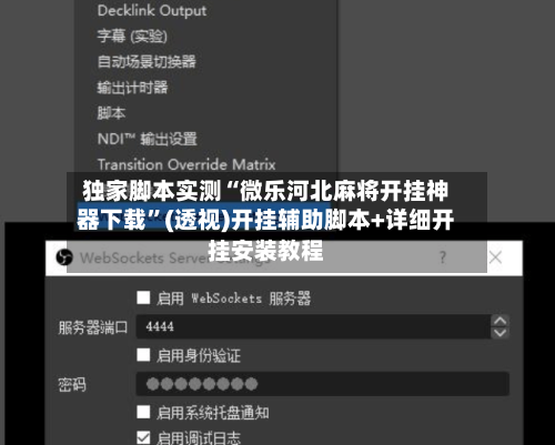 独家脚本实测“微乐河北麻将开挂神器下载”(透视)开挂辅助脚本+详细开挂安装教程-第2张图片