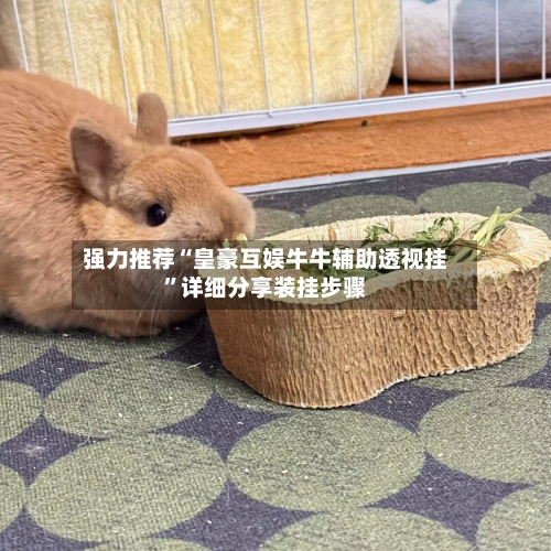 强力推荐“皇豪互娱牛牛辅助透视挂”详细分享装挂步骤