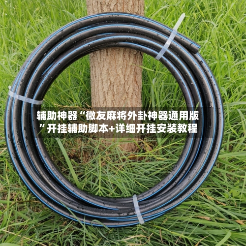 辅助神器“微友麻将外卦神器通用版”开挂辅助脚本+详细开挂安装教程-第3张图片