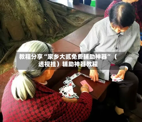 教程分享“家乡大贰免费辅助神器”（透视挂）辅助神器教程-第2张图片