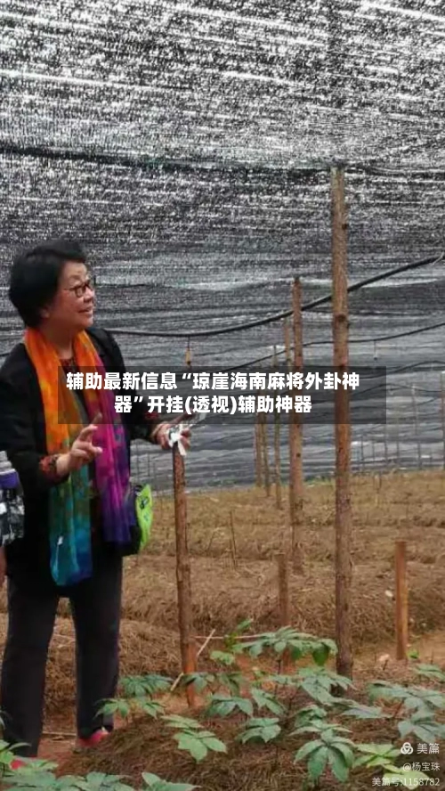 辅助最新信息“琼崖海南麻将外卦神器”开挂(透视)辅助神器-第2张图片